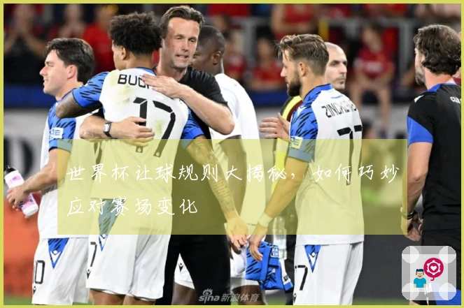 世界杯让球规则大揭秘，如何巧妙应对赛场变化