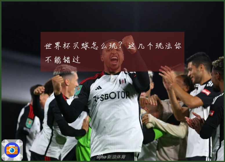 世界杯买球怎么玩？这几个玩法你不能错过