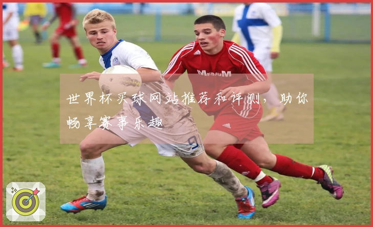世界杯买球网站推荐和评测，助你畅享赛事乐趣