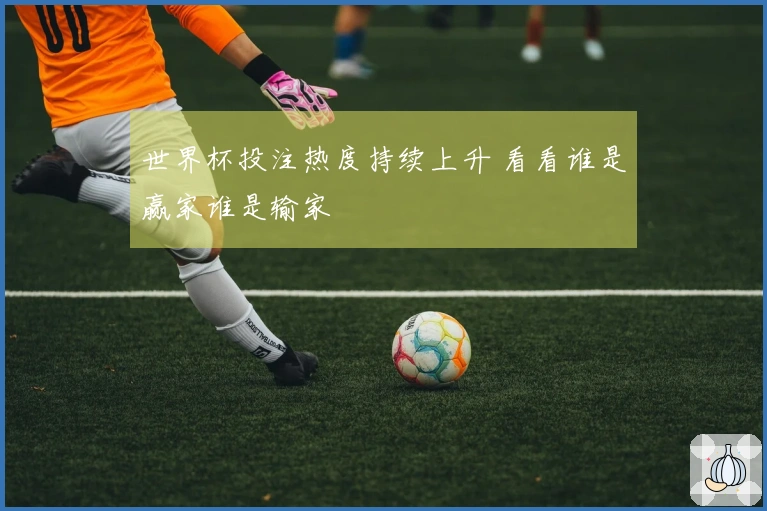 世界杯投注热度持续上升 看看谁是赢家谁是输家