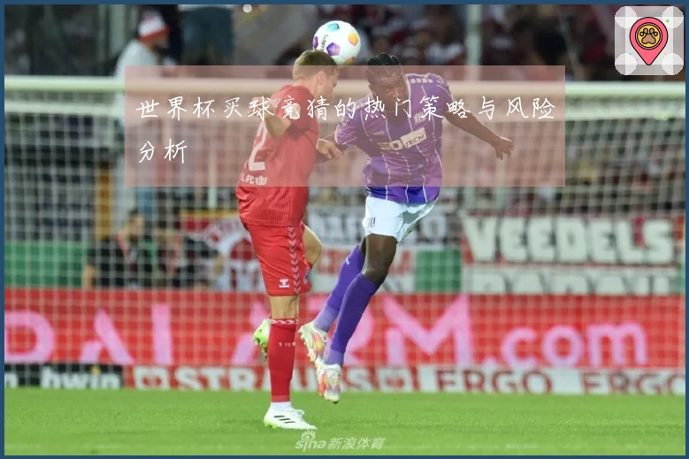 世界杯买球竞猜的热门策略与风险分析