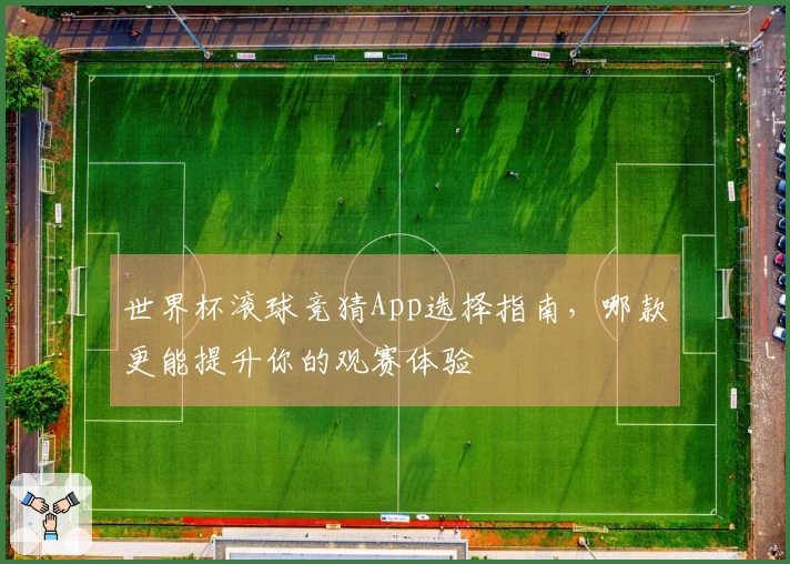世界杯滚球竞猜App选择指南，哪款更能提升你的观赛体验